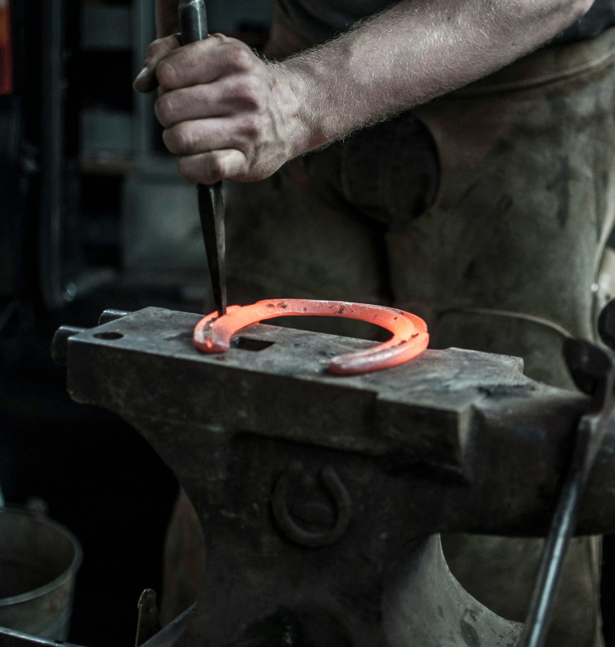 Íslenskar mjólkurkýr í bás